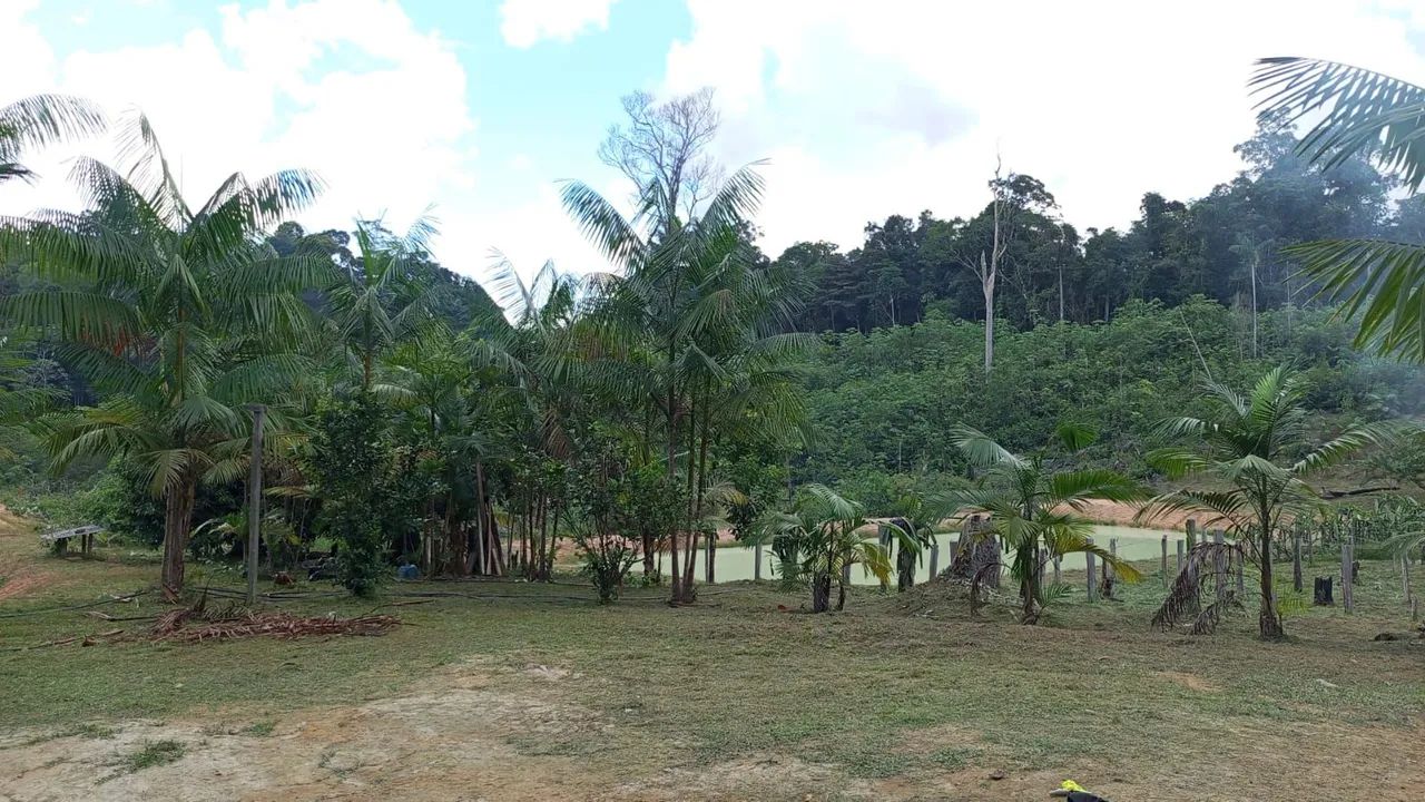 Sítio Com Casa e Tanques de Peixes