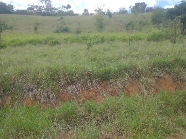 Granja ou Granjeamento  - Foto 5