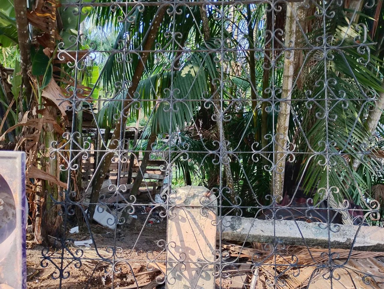 Grades de janela 64962173321089120