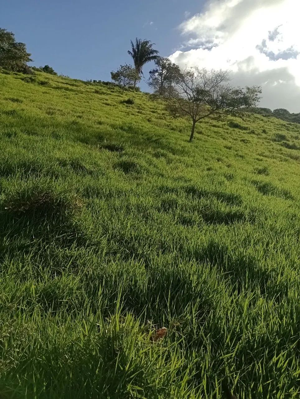 Sitio - Foto 3