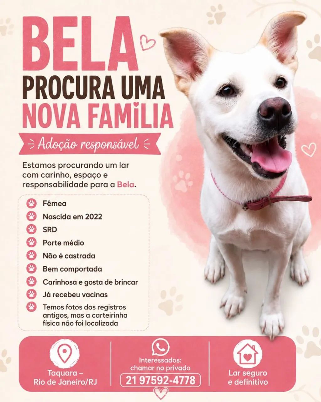 Doação Responsável 