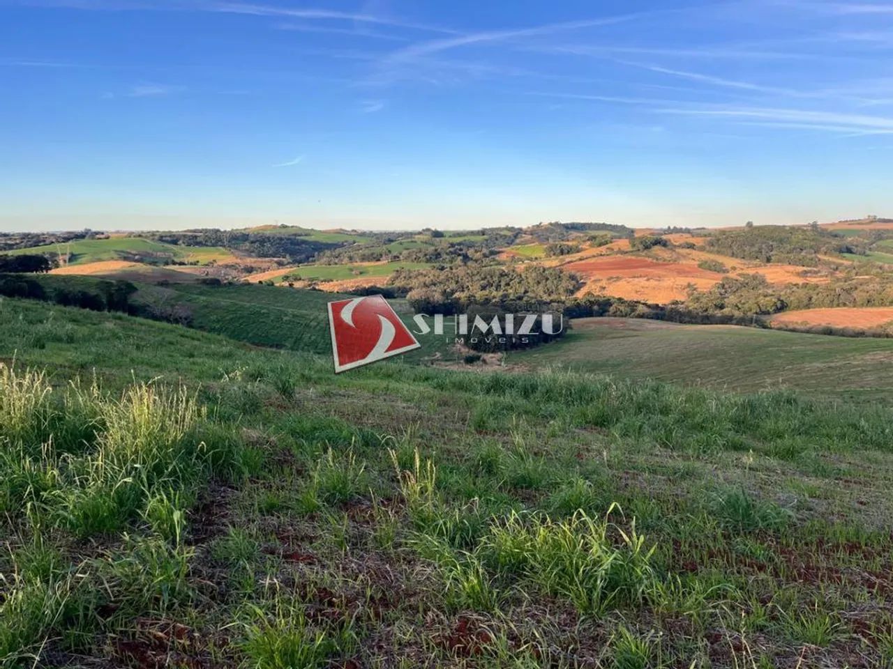 Fazenda à venda em Nova Tebas, Centro, com 1 quarto, com 1104000 m² - Foto 3