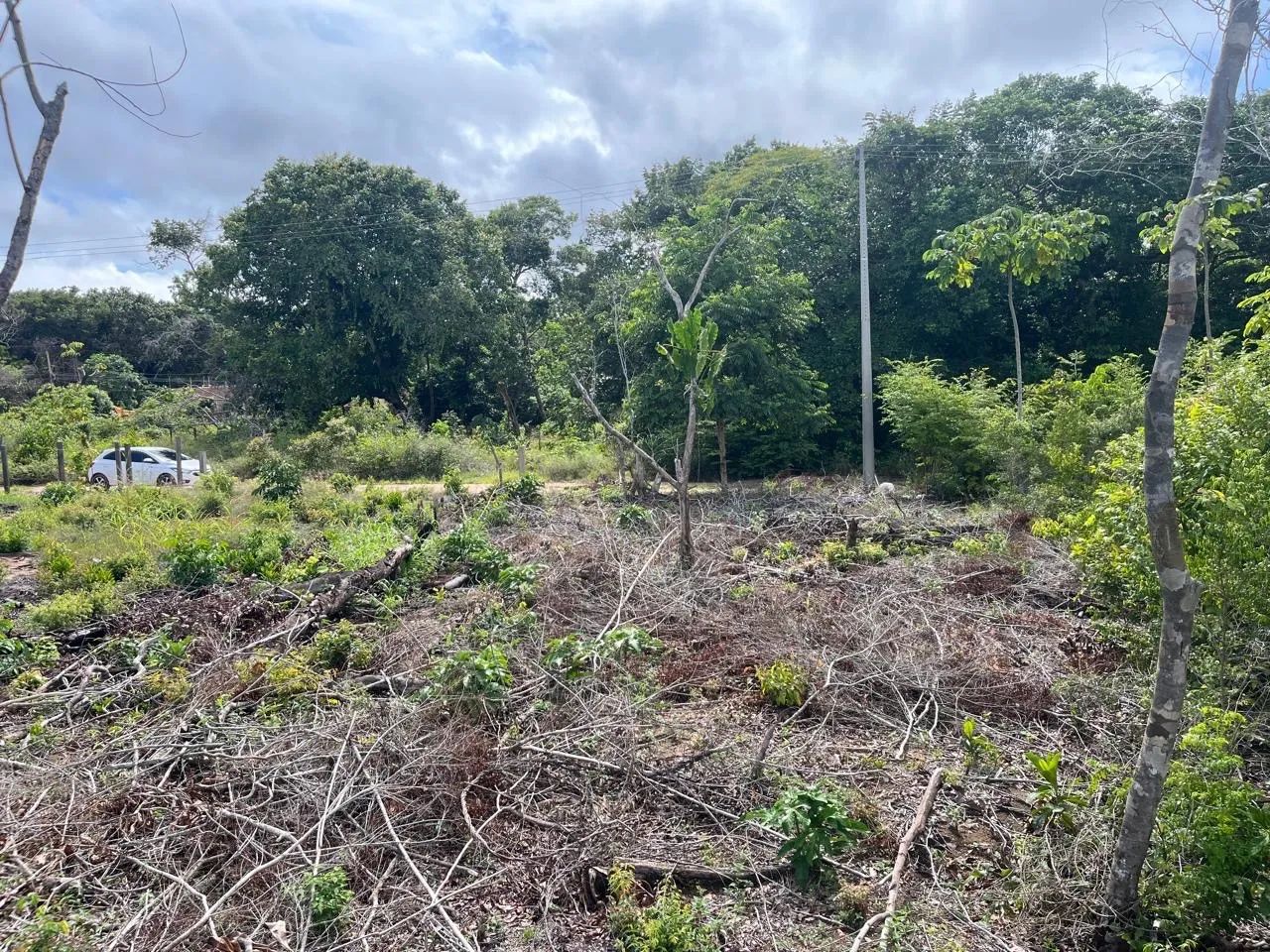 Lote 10x30 no Pajuçara - Foto 5