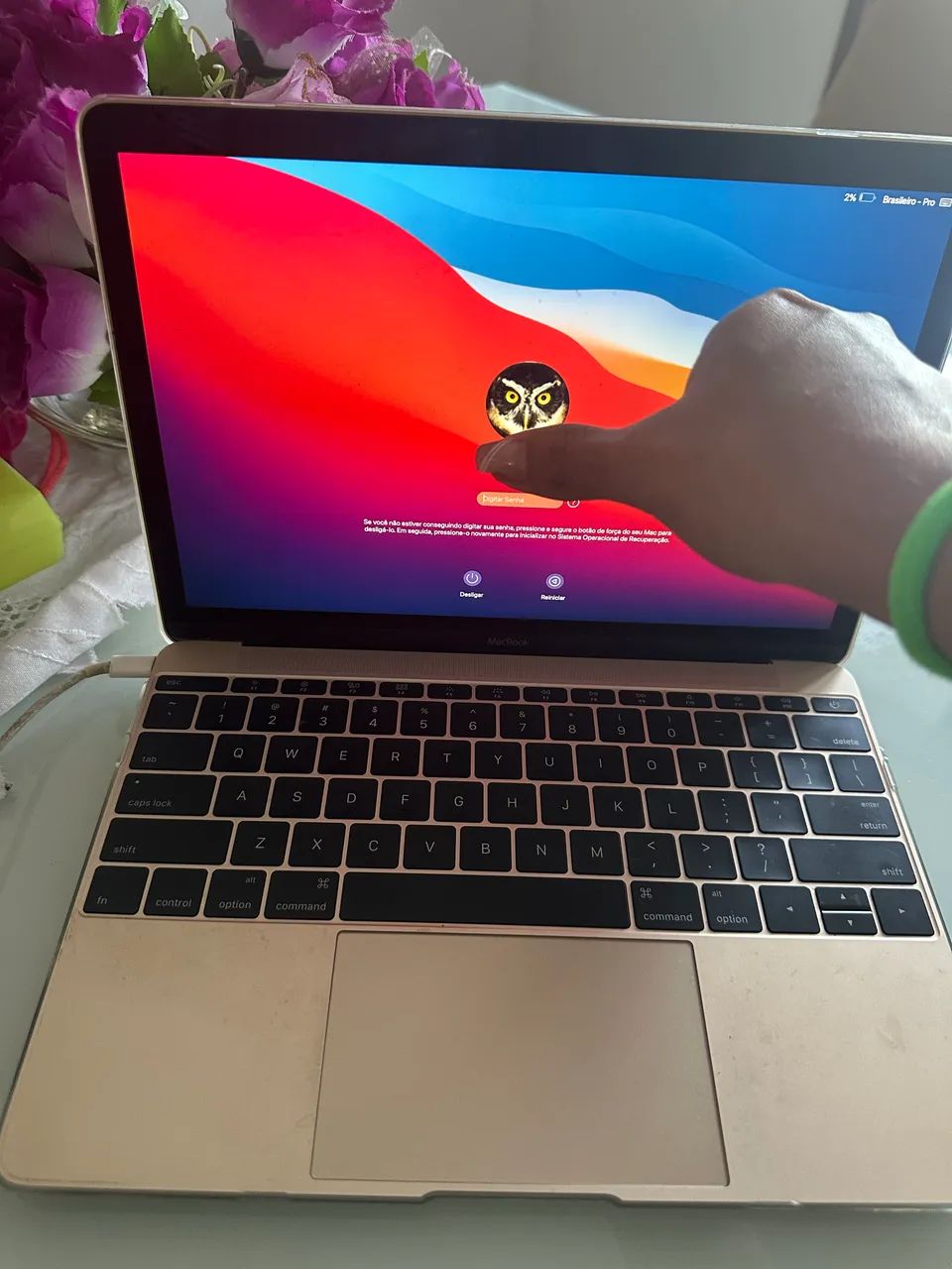 MacBook Big Sur 2017 - Foto 3