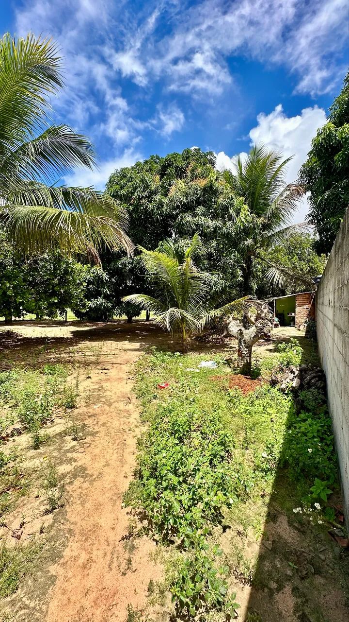 Foto - Arapiraca - Brasília