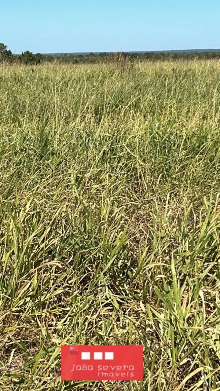 Fazenda para Venda em Santa Rita do Tocantins - Foto 5