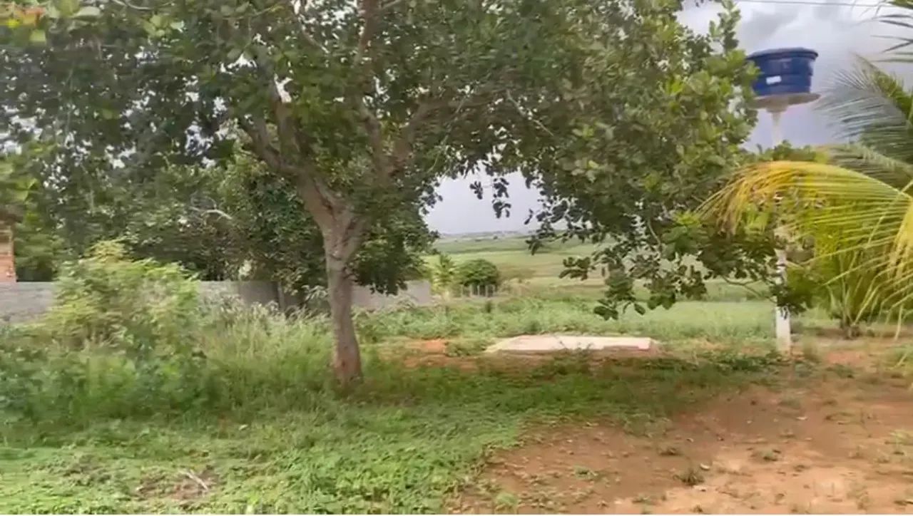 CHÁCARA EM ARAPIRACA - Foto 2