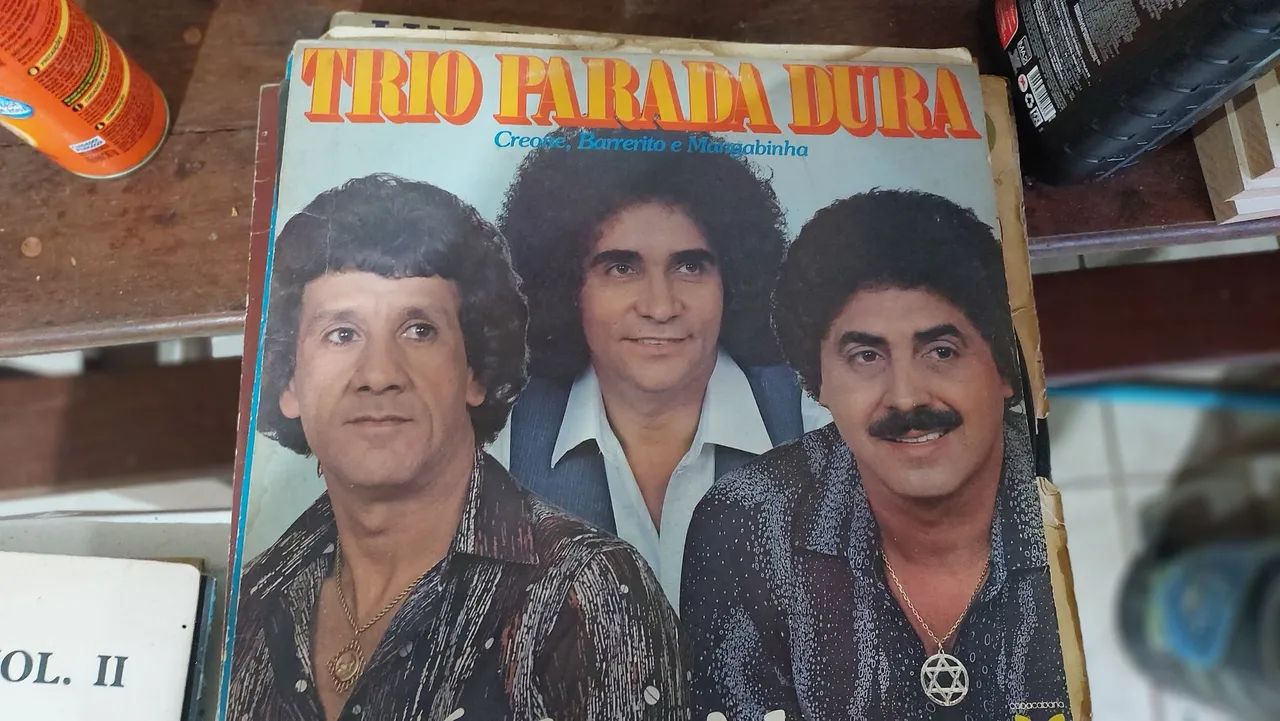 Discos de vinil, 16 discos por 80,00 reais