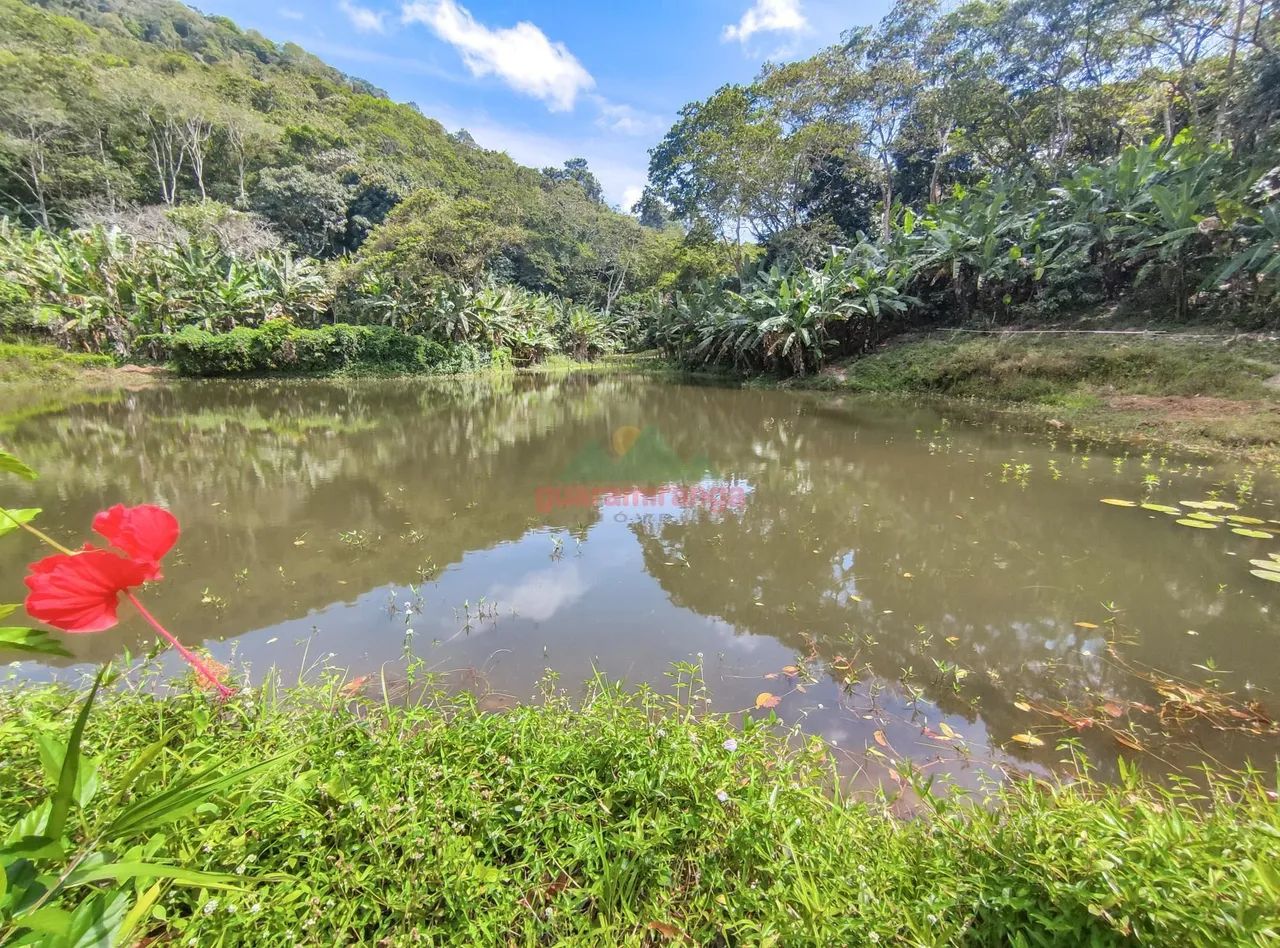 Sítio de 12,5 ha, com casa sede e casa de funcionários, com lago perene e muitas - Foto 4