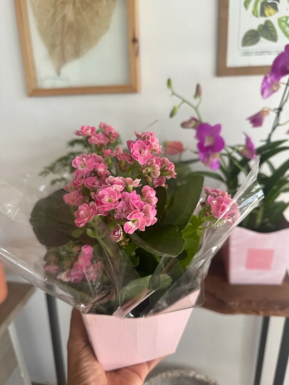 Flores para dia internacional da mulher - Foto 3