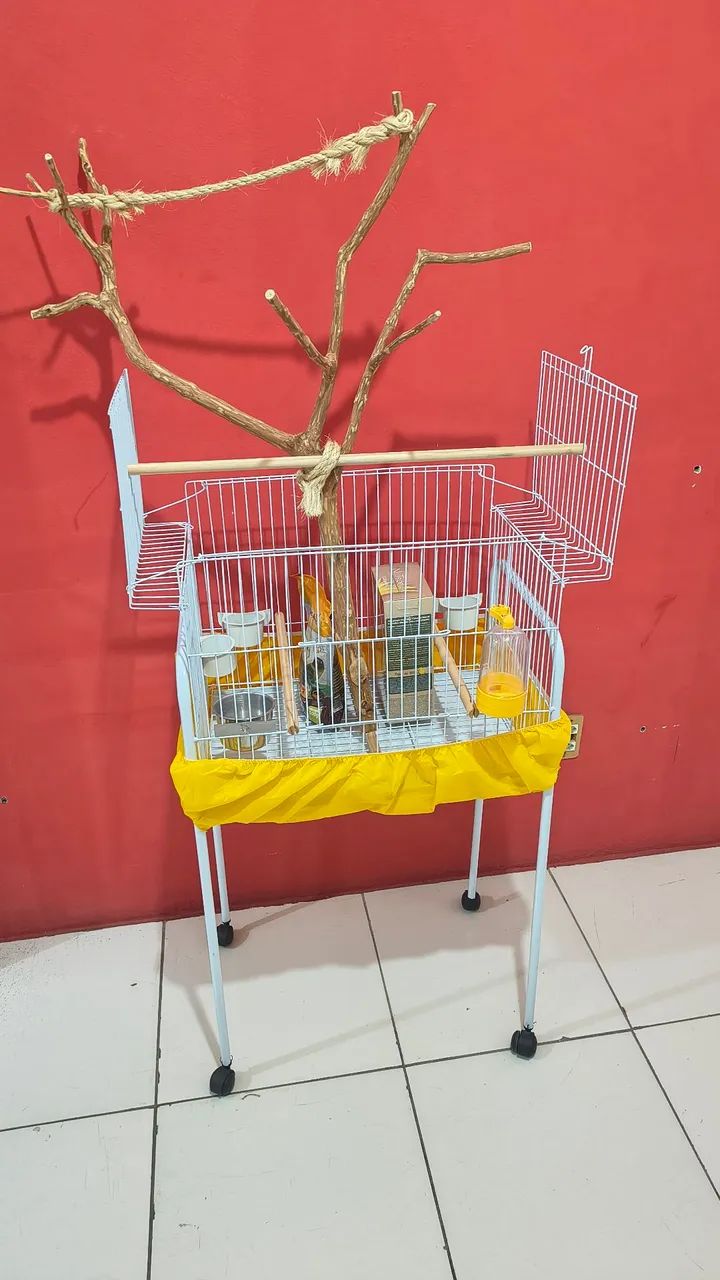 Viveiro para calopsita. - Foto 2