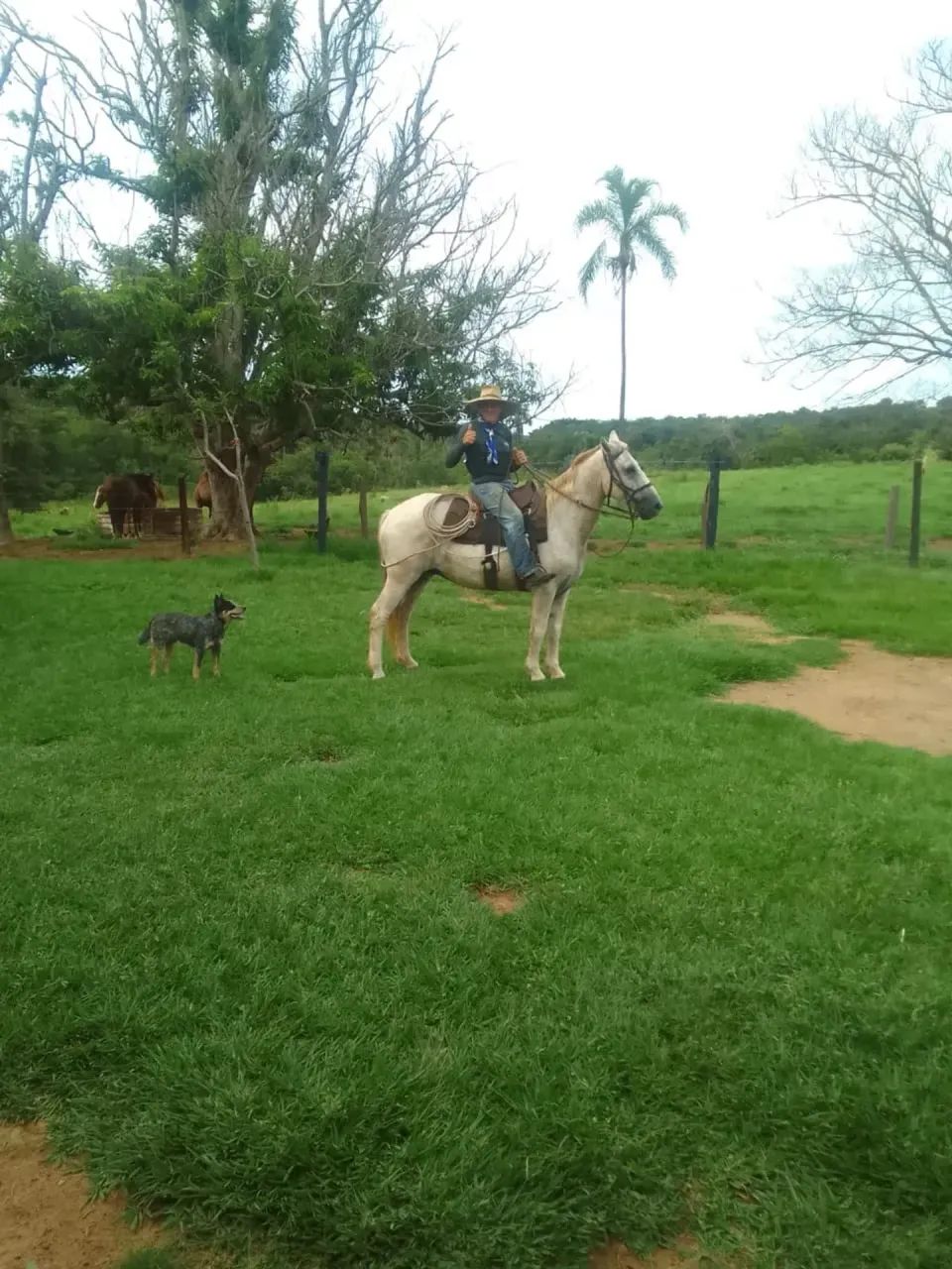 Fazenda com 1.251 Hectares a venda entre Coxim e Alcinopolis - Foto 3