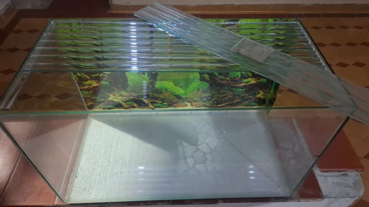 Aquário  - Foto 3