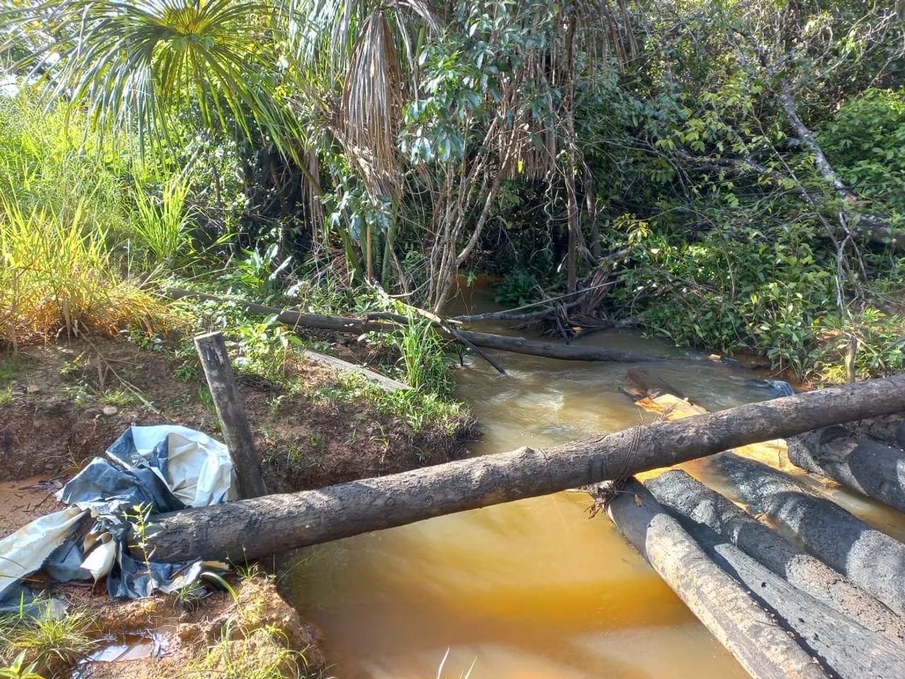 Fazenda no Tocantins  - Foto 2