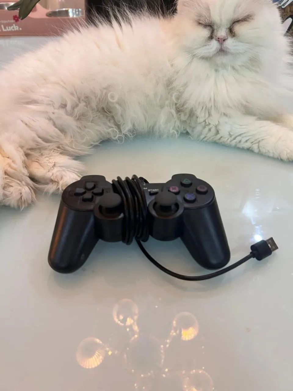 Controle com fio PS2 usb