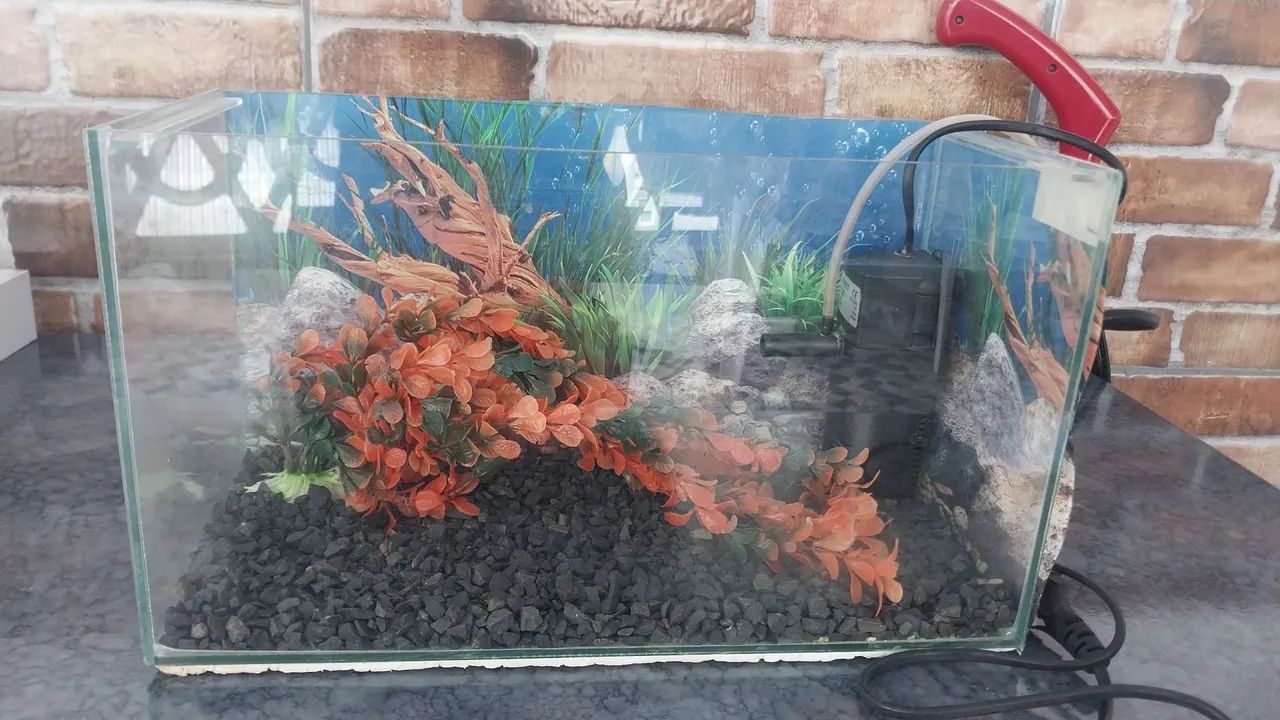 Aquario completo - Foto 3