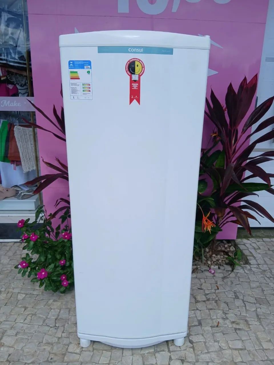 GELADEIRA DEGELO SECO 