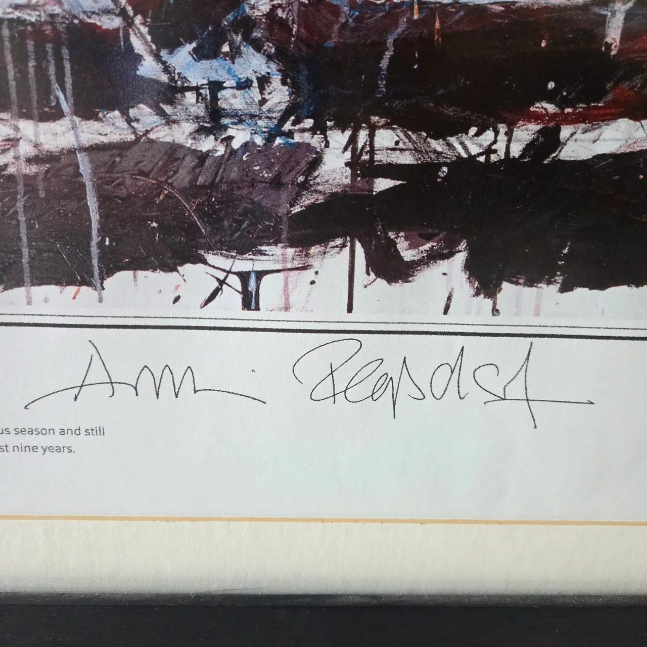 Quadro Ayrton Senna  - Foto 4