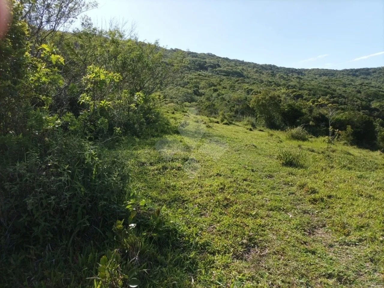 Terreno à venda, 10 hectares, Morro do Fortunato- Garopaba-SC - Foto 2