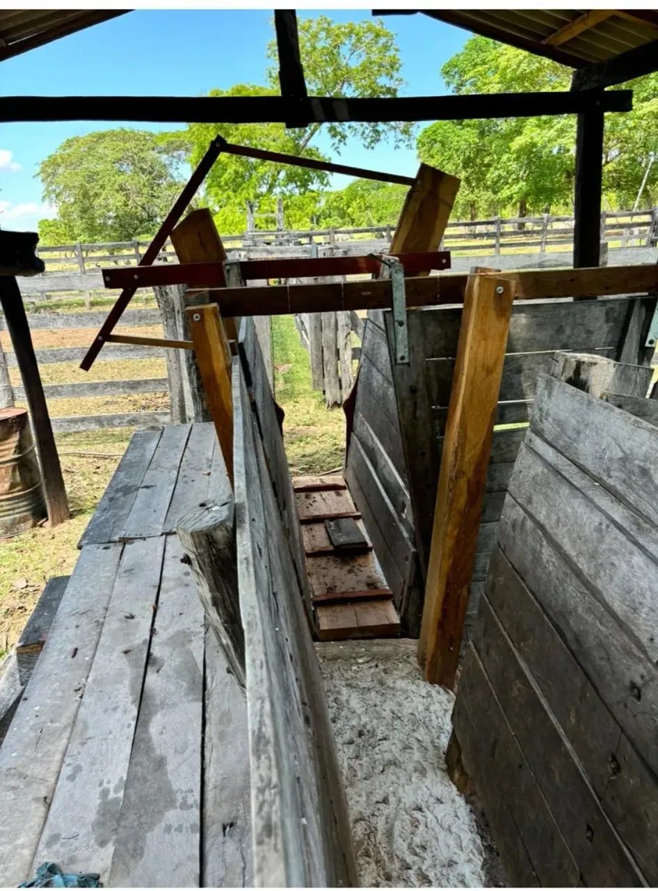 Fazenda Poconé - Foto 3