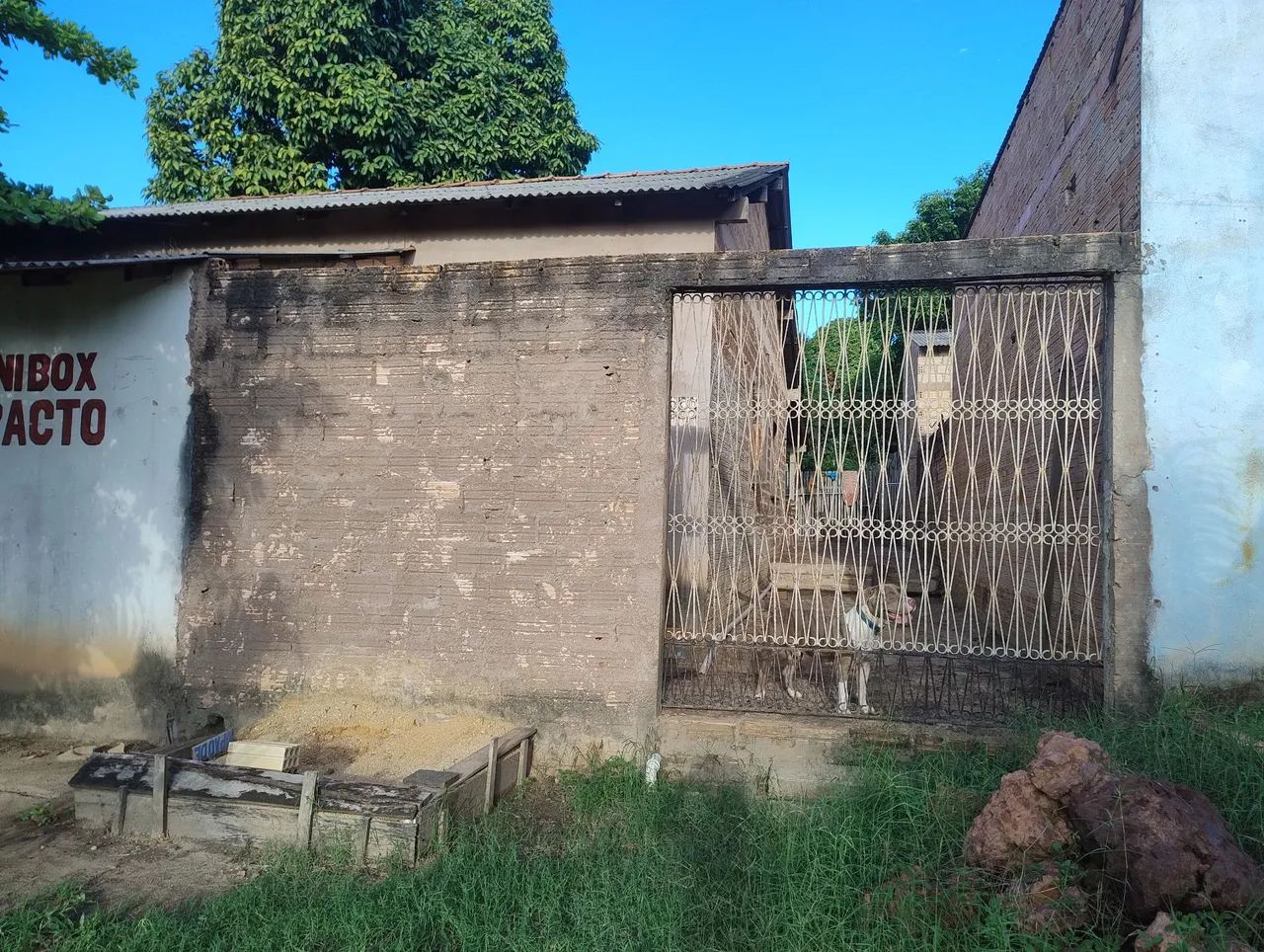 Foto - Santarém - Jutaí