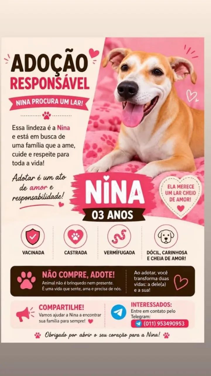 ADOÇÃO