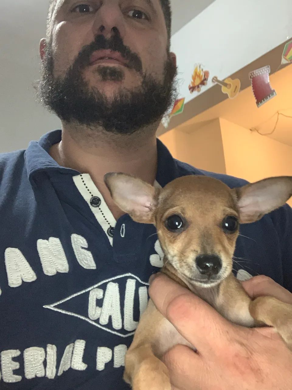 Pinscher  - Foto 2