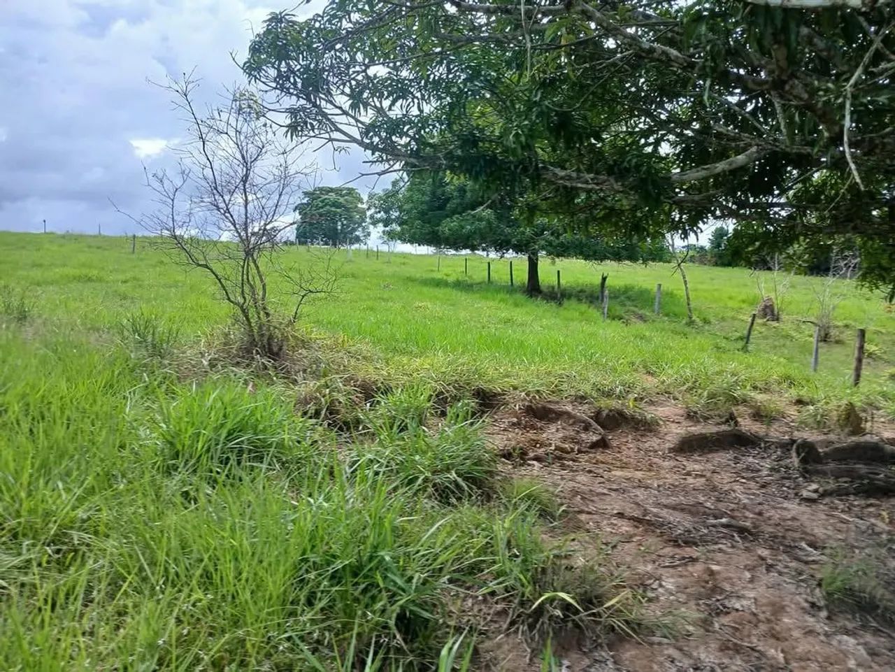 Oportunidade - chácara a venda  - Foto 5