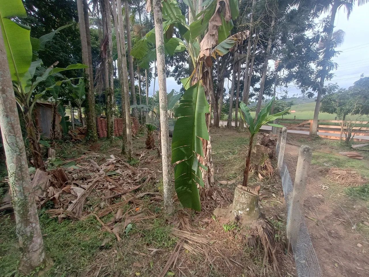 Vendo terreno bairro , OLIVEIRA tijucas - Foto 5
