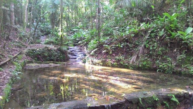 Área rural à venda, Prata dos Aredes, Teresópolis - AR0006. - Foto 17