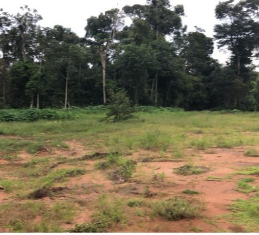 Chácara de 10.000 m2,Nova Mutum-MT, Troco imóveis em Tangará - Foto 2