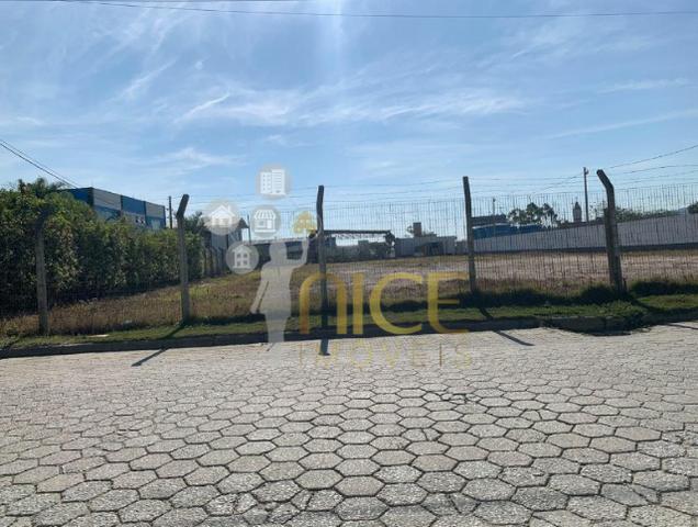 Amplo terreno à 300 metros da BR 101 - Foto 5