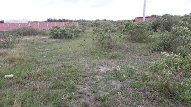 ::Cód: 12 Terreno Localizado na Estrada de São Jacinto. - Foto 2