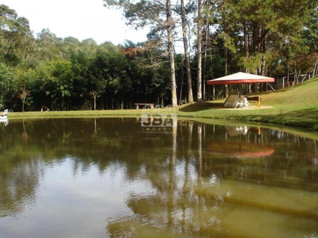 Chácara à venda em Miringuava, São josé dos pinhais cod:12972.001 - Foto 8