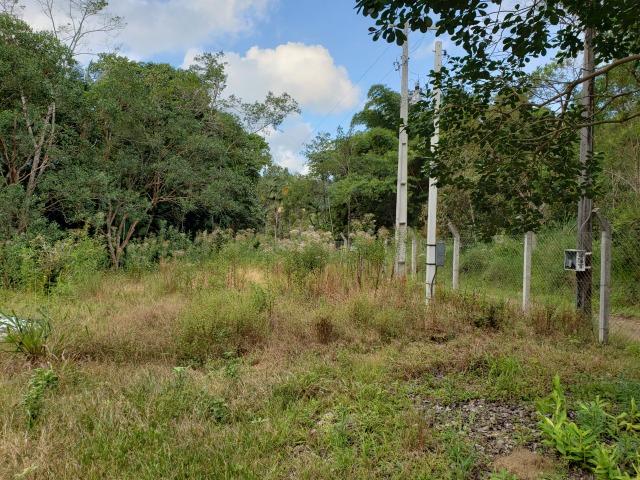 Venda- Sitío com Casa (Matinhos/Paranaguá) - Foto 3