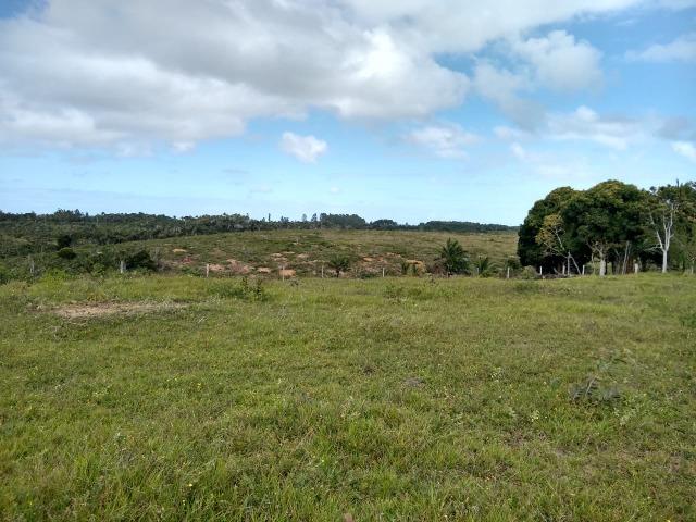 Vende-se terreno próximo a Prado - Foto 7