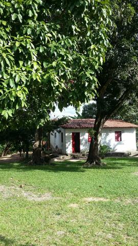 Vendo Linda Fazenda - Foto 5