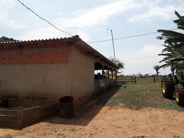 Colônia - Foto 4