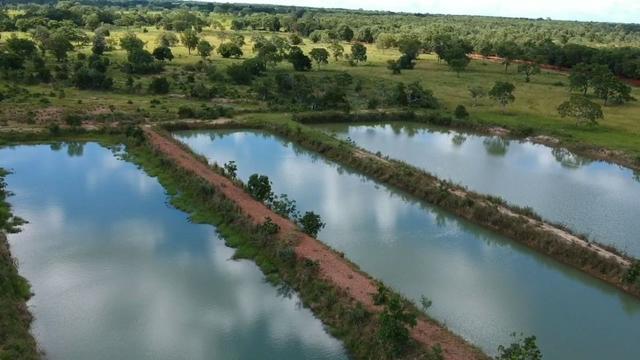 Fazenda há 10 km de Livramento com piscina, muito pasto, represas e lago - Foto 8