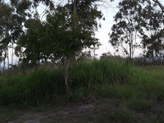 Chácara em Gravatá com 9 hectares, casa sede, 6 suítes, piscina com apoio, vista da BR-232 - Foto 10