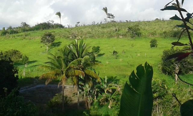 Sítio em Chã Grande, com 10 hectares. Casa sede c/4 qts, sendo 3 suítes, - Foto 8
