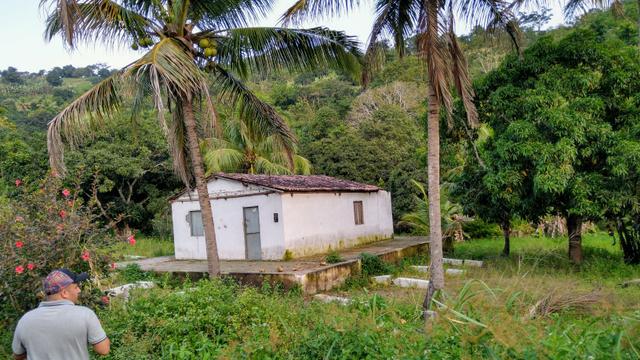 Sítio - União dos Palmares