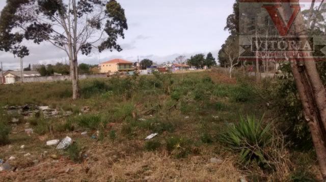 Terreno no Guatupê- São José dos Pinhais com área de 6 