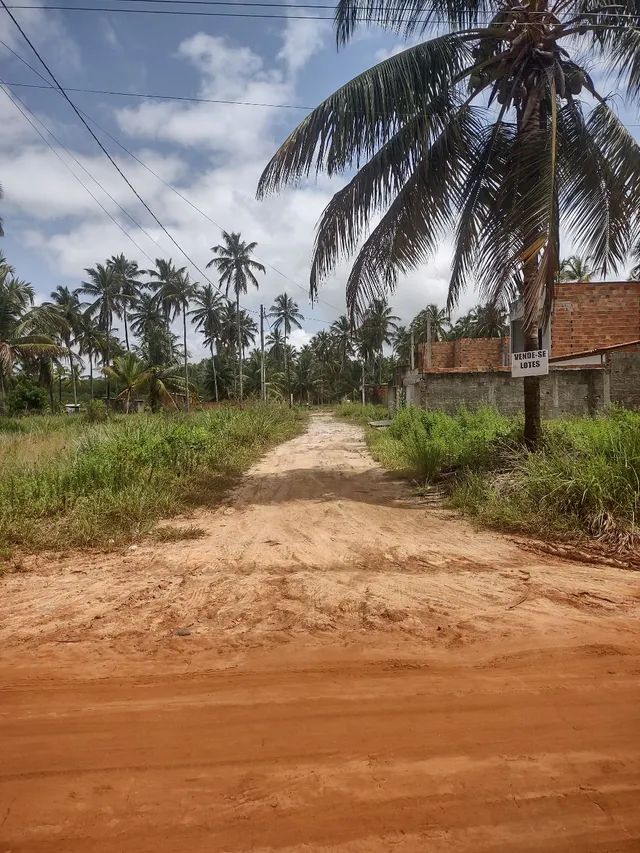 Terreno Lote Jequiá da Praia  - Foto 3
