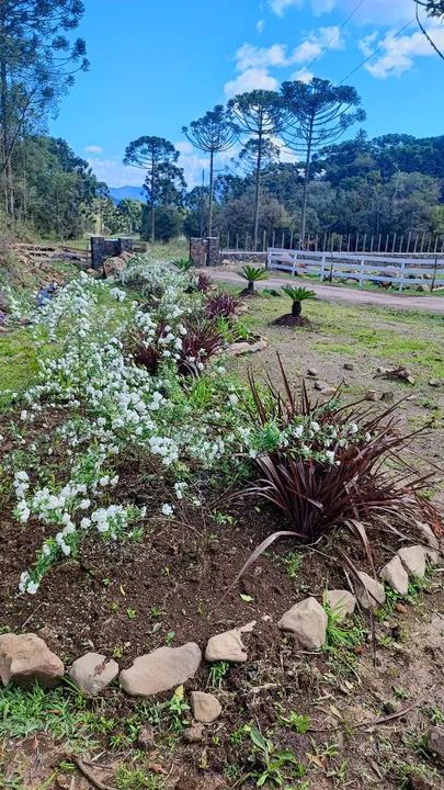 Sítio com cachoeira paradisíaca! - Foto 9