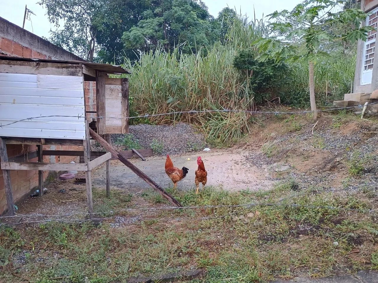 foto - Rio de Janeiro - Campo Grande