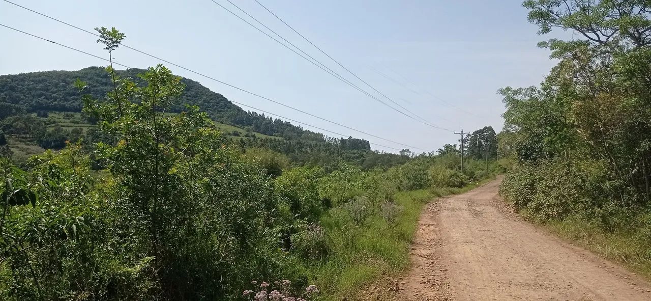 Chácara 30 HA , valor 475,000,00 luz trifásica, excelente  - Foto 5