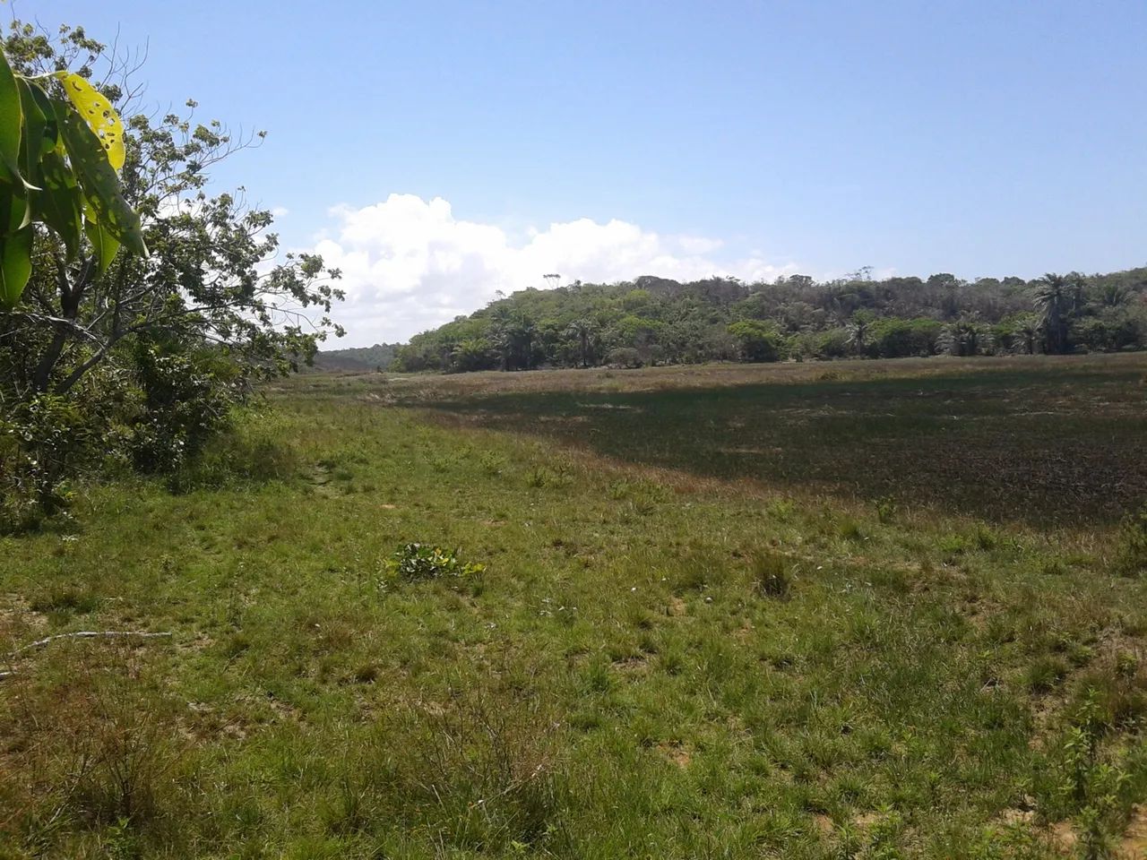 Sítio (litoral norte) 8600/mts2 Arembepe pé Rio - Foto 5