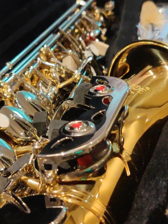Sax Alto Novo Garantia 12 Meses Fundo Musical Ensaio Regional - Foto 3
