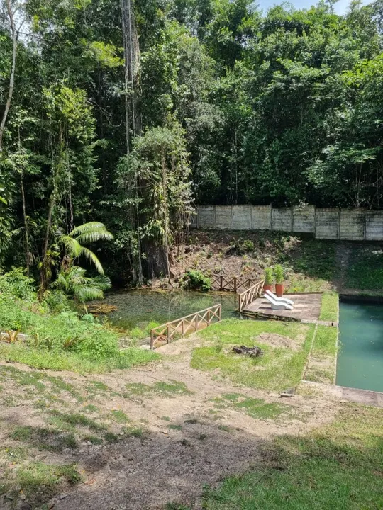 refúgio de sonhos : sitio com piscina natural e nascente
